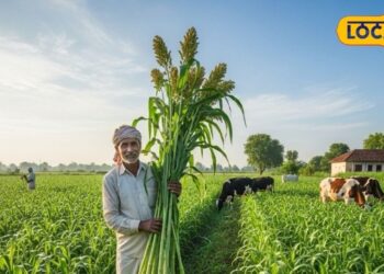 Agriculture: खाली खेत में लगा दीजिए ये फसल, 1 बार बोएं, 3 बार काटें, पशु और किसान दोनों खुश!