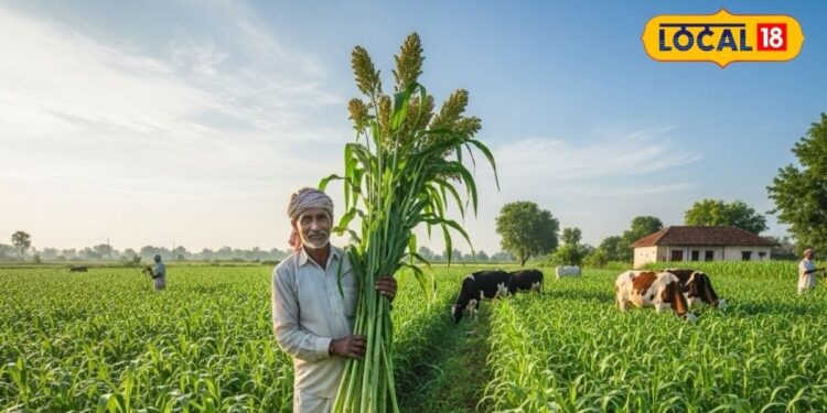 Agriculture: खाली खेत में लगा दीजिए ये फसल, 1 बार बोएं, 3 बार काटें, पशु और किसान दोनों खुश!