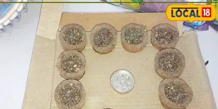 sambharani cup business, women entrepreneurship, handmade cow dung cups, profitable small business, small business Idea, सम्भरानी कप का बिजनेस, महिलाओं का स्टार्टअप, गाय के गोबर से कप, छोटे व्यवसाय में मुनाफा, बिजनेस कैसे शुरू करें,