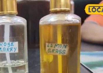 Kannauj News: कपड़े ही नहीं घर भी महकाएगा ये इत्र! सीलन की बदबू होगी छूमंतर…मिलेगी भरपूर ताजगी