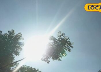 UP Weather : यूपी में मानसून पर ब्रेक!…आज ग्रीन जोन में सभी जिले, 3 दिन बाद फिर लौटेंगी बहारें