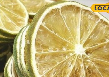 Tips and tricks : बेकार समझकर कचरे में फेंक देते हैं सूखा नींबू, न करें ऐसा…ये लाखों में एक