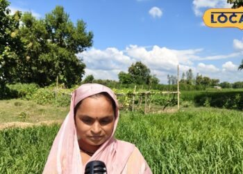 ‘कम सिंचाई, ज्यादा कमाई…’, गोंडा की महिला किसान ने रागी से बदली तकदीर, जानिए माधुरी देवी की कहानी