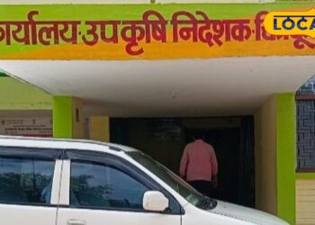 चित्रकूट के किसानों के लिए खुशखबरी, मुफ्त में मिलेगा दलहन-तिलहन बीज मिनीकिट, 25 सितंबर तक करें आवेदन