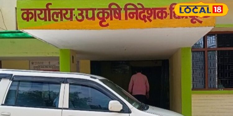 चित्रकूट के किसानों के लिए खुशखबरी, मुफ्त में मिलेगा दलहन-तिलहन बीज मिनीकिट, 25 सितंबर तक करें आवेदन