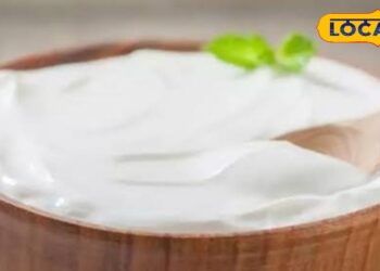 दही खाने से पहले जान लें ये छोटी बातें… वरना, डॉक्टर के पास लगानी पड़ेगी लाइन! दोनों होंगे कन्फ्यूज – Uttar Pradesh News