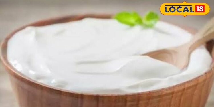 दही खाने से पहले जान लें ये छोटी बातें… वरना, डॉक्टर के पास लगानी पड़ेगी लाइन! दोनों होंगे कन्फ्यूज – Uttar Pradesh News