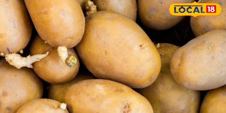 अगर आप भी करते हैं आलू की सब्जी का सेवन तो जान लें ये जरूरी बात! वरना सेहत को होगा नुकसान