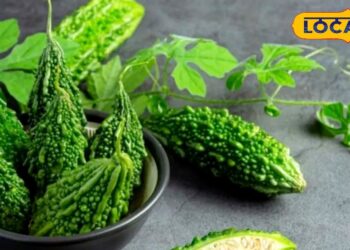 शुगर कंट्रोल में करैला कितना असरदार है, जानें Mirzapur एक्सपर्ट से