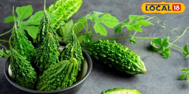 शुगर कंट्रोल में करैला कितना असरदार है, जानें Mirzapur एक्सपर्ट से