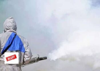 क्या आने वाला है कोई बड़ा खतरा या महामारी? हेल्थ मिनिस्टी ने राज्यों को क्यों किया अलर्ट? alert in india for dengue malaria cases by jp nadda health ministry