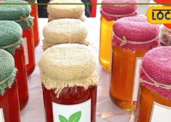 Moradabad News: लीची, बेर और लिप्टिस…मुरादाबाद के इस ऑर्गेनिक शहद ने मार्केट में मचाई धूम, जमकर आ रही डिमांड