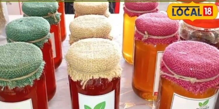 Moradabad News: लीची, बेर और लिप्टिस…मुरादाबाद के इस ऑर्गेनिक शहद ने मार्केट में मचाई धूम, जमकर आ रही डिमांड