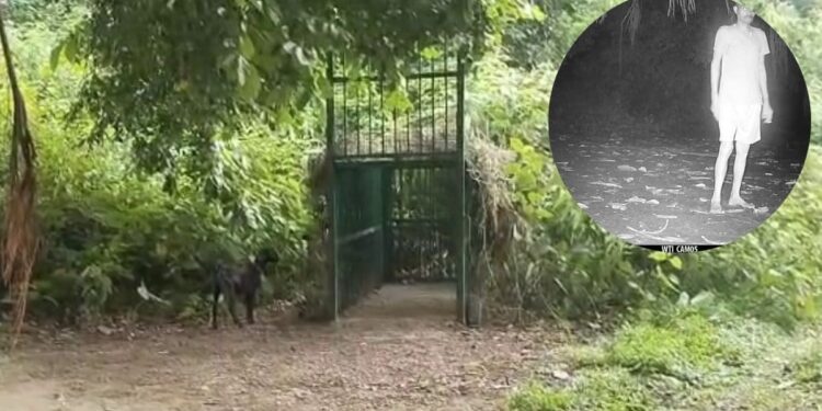 Sitapur News: बाघ को पकड़ने पिंजरे में बांधी बकरी हुई गायब, वो तो पकड़ा नहीं गया, फ‍िर गई कहां? CCTV फुटेज चौंकाने वाली