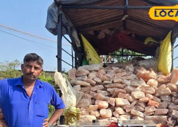 देशभर में रुद्रांश का दम! झारखंड को स्केटिंग में दिलाया पहला गोल्ड,जानें कहानी