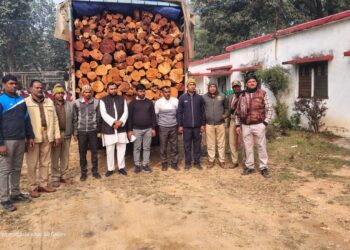 रेणुकूट. पिपरी रेंज में वन विभाग की बड़ी कार्रवाई, 10 टन अवैध खैर लकड़ी से भरा ट्रक पकड़ा