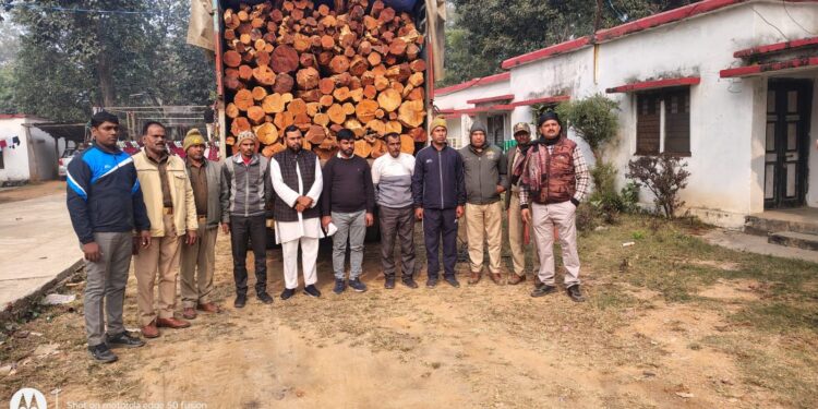 रेणुकूट. पिपरी रेंज में वन विभाग की बड़ी कार्रवाई, 10 टन अवैध खैर लकड़ी से भरा ट्रक पकड़ा