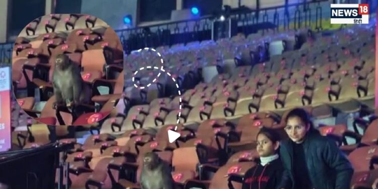 Monkey India Open Badminton Tournament: इंडिया ओपन बैडमिंटन में बंदर की मौजूदगी से आयोजक चिंतित