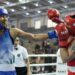 National Boxing Championship: जैसे-तैसे जीतीं लवलीना, अमित पंघाल भी मुश्किल मुकाबले में बचे, राष्ट्रीय मुक्केबाजी चैंपियनशिप में रोचक लड़ाई