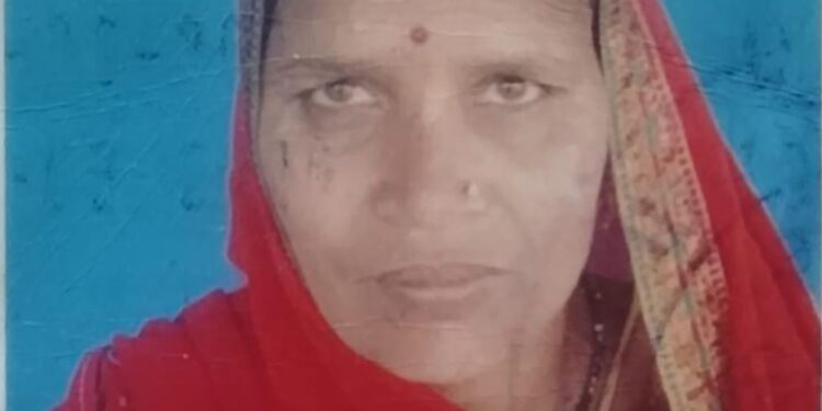 रेणुकूट. गाढ़ा बैरियर के पास सड़क हादसा, बाइक सवार महिला की मौत, पुत्र गंभीर घायल