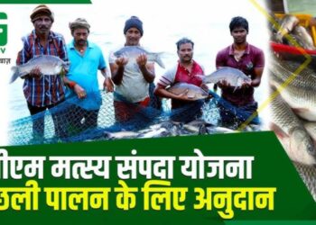 सोनभद्र. प्रधानमंत्री मत्स्य संपदा योजना में करोड़ों का भ्रष्टाचार, मछली और चारा दोनों गायब