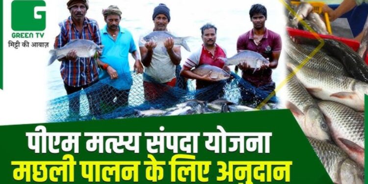 सोनभद्र. प्रधानमंत्री मत्स्य संपदा योजना में करोड़ों का भ्रष्टाचार, मछली और चारा दोनों गायब