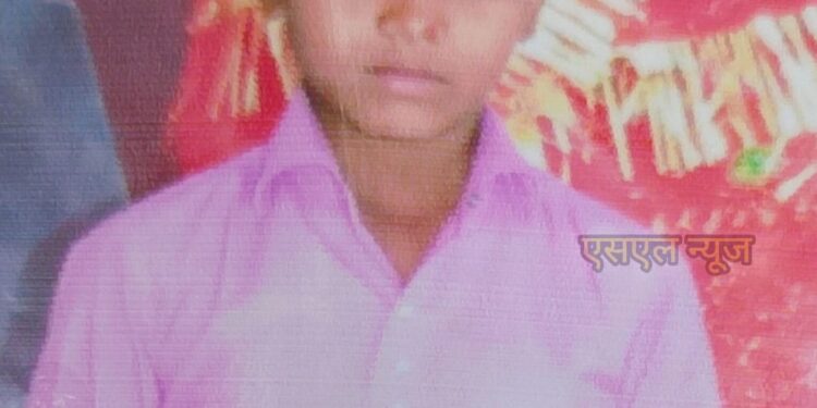 बीजपुर. बारात में डीजे साउंड गिरने से किशोर की मौत, मचा हड़कंप