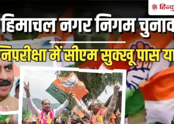 himachal local body municipal elections kangra and dharamshala results significance हिमाचल नगर निगम चुनाव या 2027 का सेमीफाइनल; कांगड़ा और धर्मशाला के नतीजों के मायने, Himachal-pradesh Hindi News