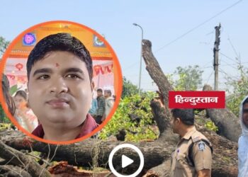 Singrauli News: निगाही मोड़ पर बड़ा हादसा, महुआ का विशाल पेड़ गिरने से बाइक सवार युवक की मौत, मध्य प्रदेश वीडियो न्यूज