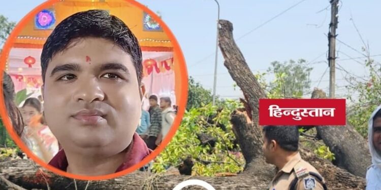 Singrauli News: निगाही मोड़ पर बड़ा हादसा, महुआ का विशाल पेड़ गिरने से बाइक सवार युवक की मौत, मध्य प्रदेश वीडियो न्यूज
