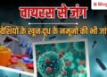 चांदीपुरा वायरस पर केंद्र ने संभाला मोर्चा, गुजरात और राजस्थान में टीमें तैनात, Rajasthan Hindi News