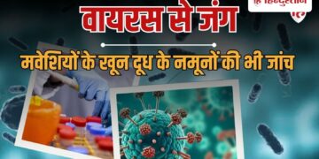 चांदीपुरा वायरस पर केंद्र ने संभाला मोर्चा, गुजरात और राजस्थान में टीमें तैनात, Rajasthan Hindi News
