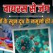चांदीपुरा वायरस पर केंद्र ने संभाला मोर्चा, गुजरात और राजस्थान में टीमें तैनात, Rajasthan Hindi News
