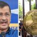 केजरीवाल को 2 मामलों में बरी करने पर ED की चुनौती, जवाब के लिए कितनी मोहलत?, Ncr Hindi News