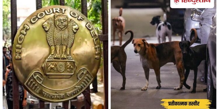 अगली पीढ़ी भी देख सके… दिल्ली हाई कोर्ट का आवारा कुत्तों पर बड़ा आदेश, Ncr Hindi News