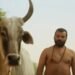 ग्वालियर के सिंगर ने ‘हनुमान अंश’ के 12 में से 5 गाने किए कंपोज, शिव भजन ने छुआ दिल, जानते हैं इसका मतलब?