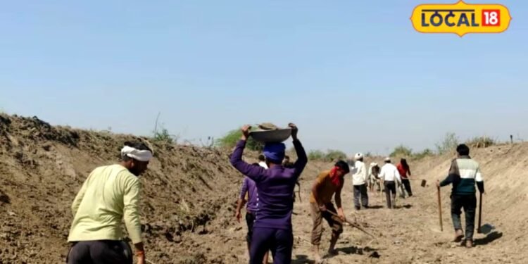 फिरोजाबाद: 20 साल बाद जी उठी सिरसा नदी, मनरेगा की पहल से 6 ब्लॉकों के किसानों को मिली नई जिंदगी