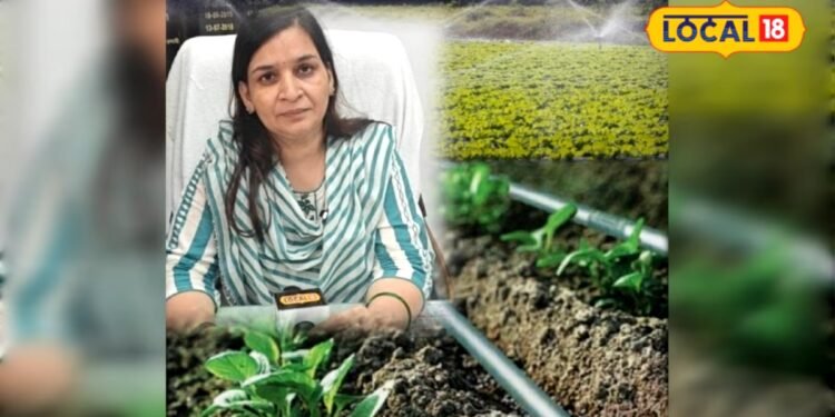 micro irrigation scheme | sarkari yojana | up government scheme | किसानों के लिए UP सरकार का तोहफा, इस एक योजना में मिलेगी 90 प्रतिशत सब्सिडी