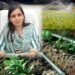 micro irrigation scheme | sarkari yojana | up government scheme | किसानों के लिए UP सरकार का तोहफा, इस एक योजना में मिलेगी 90 प्रतिशत सब्सिडी