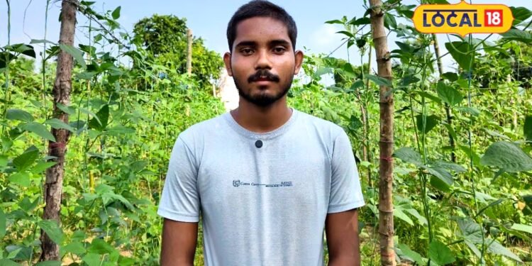 Boda Farming : पढ़ाई के साथ बोड़ा की खेती, गोंडा के सूरज मौर्य 1 बीघे से कमा रहे 50 हजार