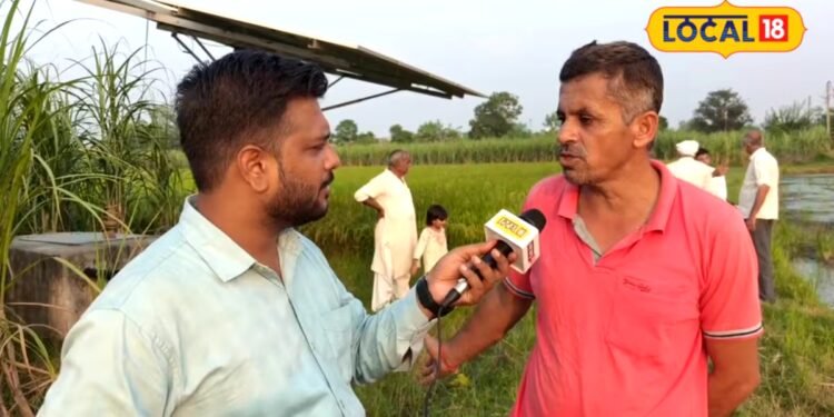 PM Kusum Yojana | पहले पानी के लिए परेशान रहता था किसान, अब सुबह से शाम तक 40 बीघे में कर रहा मुफ्त सिंचाई, जानें कैसे?