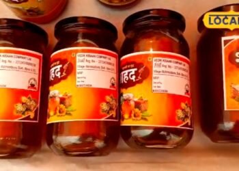 सरसों-लीची और जामुन से तैयार कर रहे शहद, जानिए कैसे बिजनौर के अंकुर त्यागी मौन पालन से कमा रहे मुनाफा