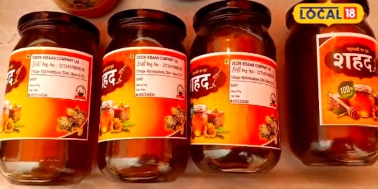 सरसों-लीची और जामुन से तैयार कर रहे शहद, जानिए कैसे बिजनौर के अंकुर त्यागी मौन पालन से कमा रहे मुनाफा