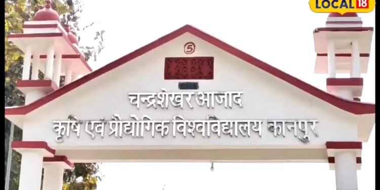 Kanpur News : अब ज्वार, बाजरा खाएंगे सेना के जवान…प्रधानमंत्री की पहल पर आर्मी ने मांगी इनसे मदद, जानिए प्लान