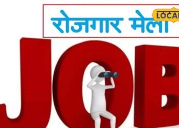 अमरोहा में 29 सितंबर को लगेगा रोजगार मेला, 18 से ज्यादा कंपनियां देंगी नौकरी का मौका