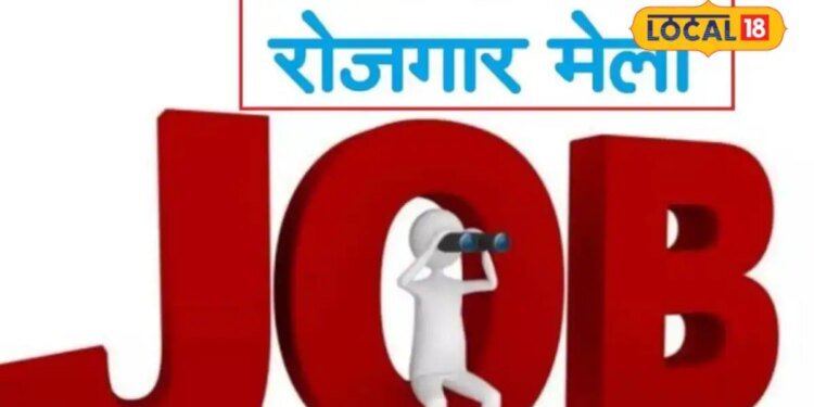 अमरोहा में 29 सितंबर को लगेगा रोजगार मेला, 18 से ज्यादा कंपनियां देंगी नौकरी का मौका
