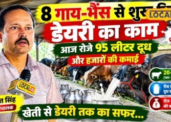 Animal Husbandry : रोज कमा रहे 5 हजार…गोंडा के रणजीत सिंह ने 12वीं के बाद शुरू कर दी डेयरी फार्मिंग, अपनाई ये ट्रिक