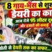 Animal Husbandry : रोज कमा रहे 5 हजार…गोंडा के रणजीत सिंह ने 12वीं के बाद शुरू कर दी डेयरी फार्मिंग, अपनाई ये ट्रिक