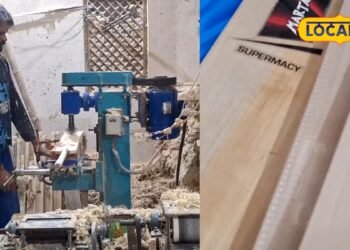 Cricket Bat Buying Guide: क्रिकेट बैट खरीदने जा रहे हैं तो पहले देख लें ग्रेन, रंग और वजन, वरना हो सकता है नुकसान