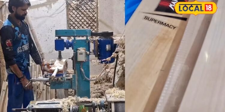 Cricket Bat Buying Guide: क्रिकेट बैट खरीदने जा रहे हैं तो पहले देख लें ग्रेन, रंग और वजन, वरना हो सकता है नुकसान